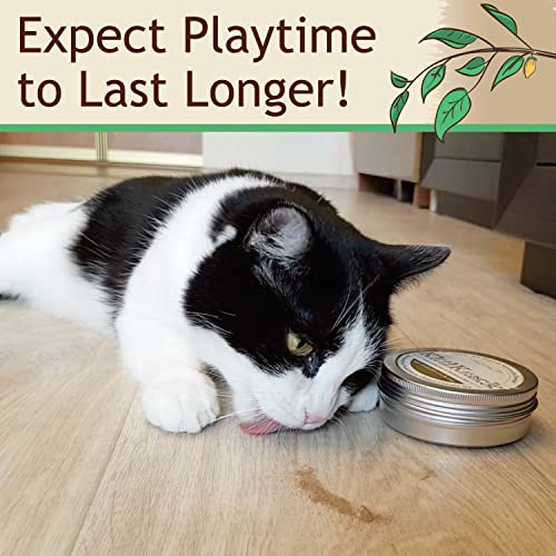 Twin Critters KittiKrack: Organic Silver Vine Catnip for Cats & Kittens 100%, All-Natural Silvervine Powder (15 Grams)| Wild Harvested with No Additives Or Preservatives