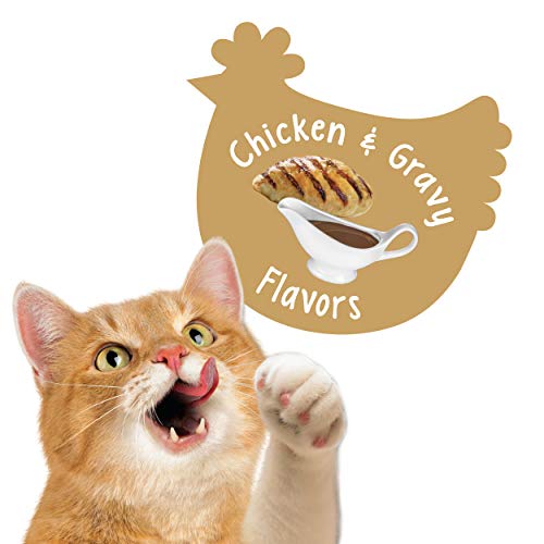 Purina Friskies Made in USA Facilities Cat Treats, Party Mix Crunch Gravylicious Chicken & Gravy Flavors - 20 oz. Canister