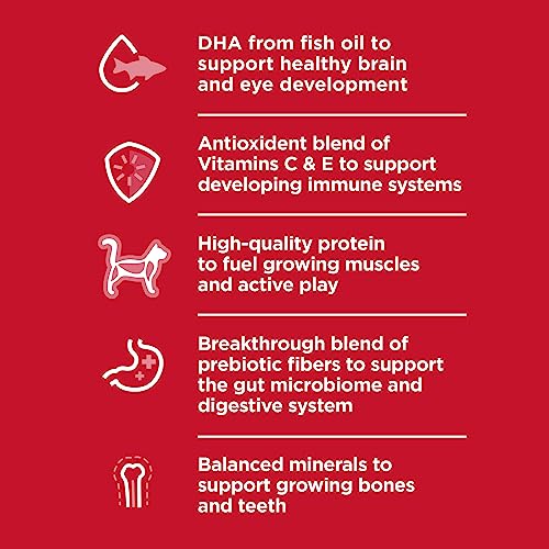 Hill's Science Diet Dry Cat Food, Kitten, Chicken Recipe, 3.5 lb Bag