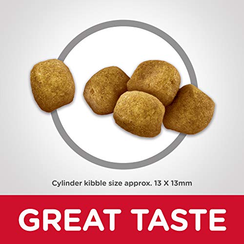 Hill's Science Diet Dry Cat Food, Adult, Oral Care, Chicken Recipe, 3.5 lb Bag