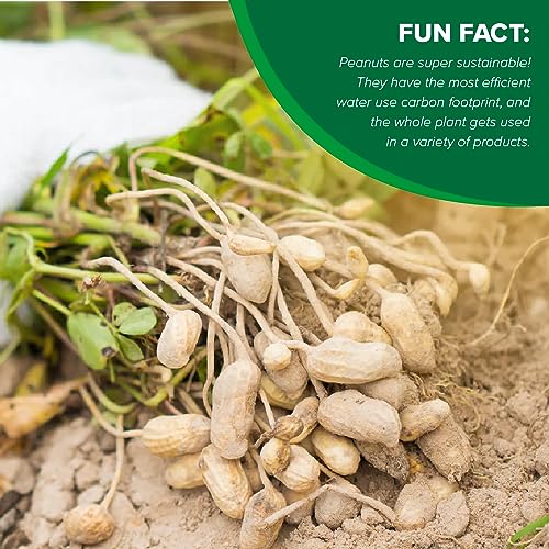 Hampton Farms No Salt Roasted In Shell Peanuts, 5 lb. Bag