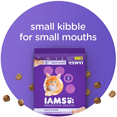 IAMS Proactive Health Healthy Kitten Dry Cat Food and Grain Free Paté Wet Cat Food, Chicken Recipes