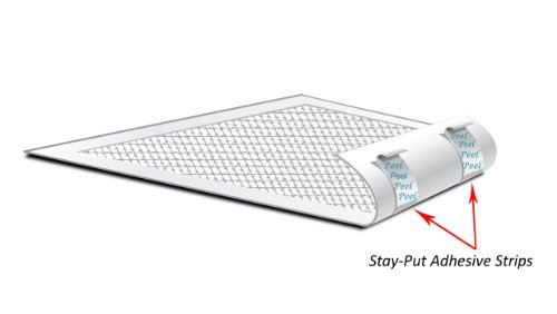 Complete - SM Deluxe Pet Airline Travel Kit with Pad