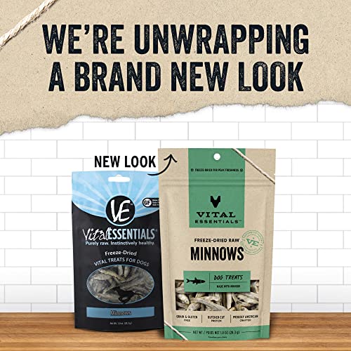 Vital Essentials Freeze-Dried Minnows Treats for Dogs Wild Caught USA Sourced & Made Omega 3 for Healthy Skin & Coat Supports Joint Health Weight Control Perfect for Training & Traveling 1 oz Pouch