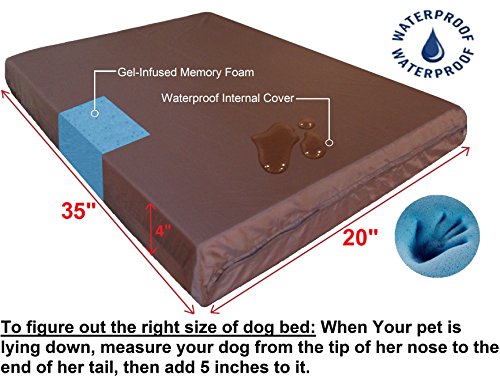 Dogbed4less Orthopedic Gel Cooling Memory Foam Dog Bed with Waterproof Liner and External Durable Suede Cover for Small to Medium Pet 35X20X4 Inches