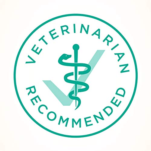 Purina ONE Sensitive Stomach, Sensitive Skin, Natural Dry Cat Food, Sensitive Skin & Stomach Formula - 3.5 lb. Bag