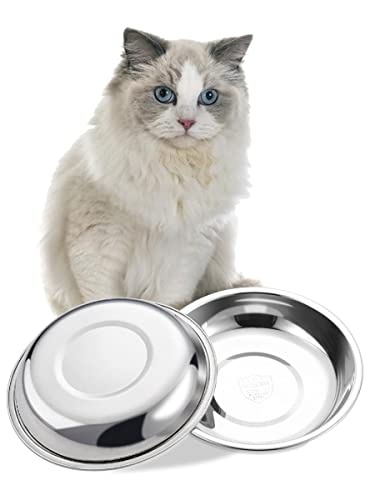 VENTION Global Wansheng Cat Food Dish, Whisker Relief Cat Bowls, Stainless Steel Pet Bowls, Shallow Cat Dish, 37 Ozs Dog Food Bowls, Outer Dia. 8 9/10 Inches, Set of Two