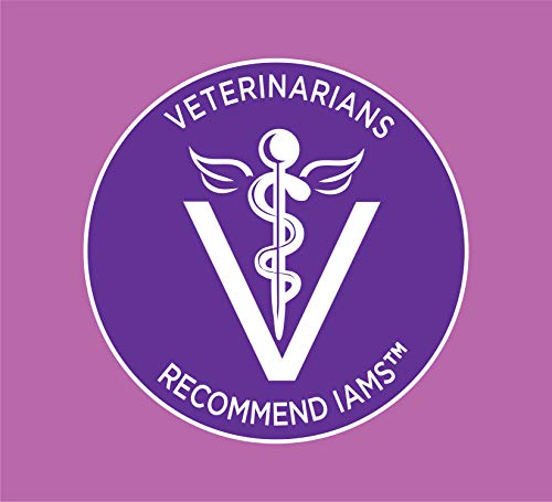 IAMS Proactive Health Healthy Kitten Dry Cat Food and Grain Free Paté Wet Cat Food, Chicken Recipes