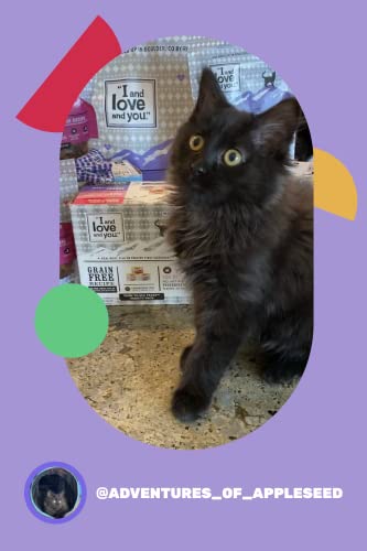 "I and love and you" Naked Essentials Canned Wet Cat Food - Variety Pack: Beef Recipe, Salmon+Chicken Recipe, Turkey Recipe, 3-Ounce, Pack of 12 Cans