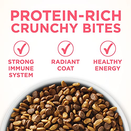 Purina ONE Natural Dry Kitten Food, Healthy Kitten - 16 lb. Bag