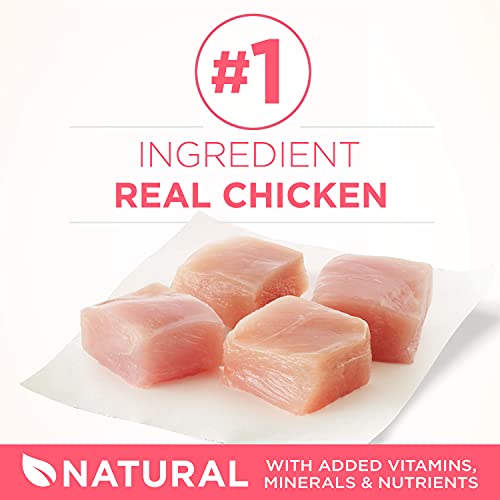 Purina ONE Natural Dry Kitten Food, Healthy Kitten - 16 lb. Bag