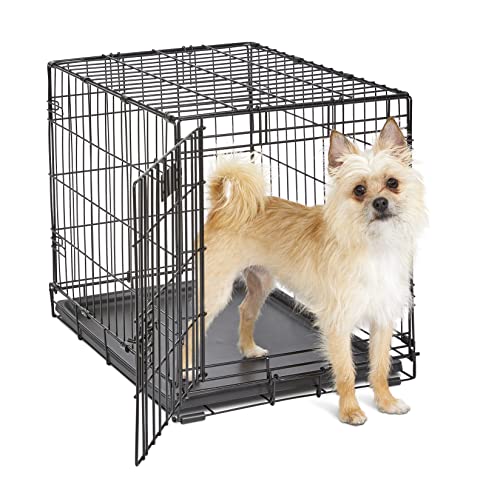 MidWest ICrate 1524 -24 Inch Folding Metal Dog Crate w/ Divider Panel ,Small Dog Breed, Black