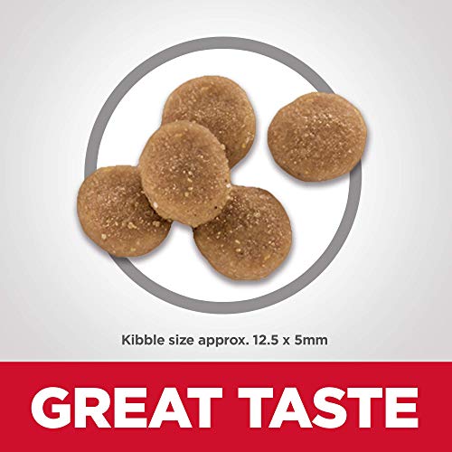 Hill's Science Diet Dry Cat Food, Adult, Sensitive Stomach & Skin, Chicken & Rice Recipe, 3.5 lb Bag