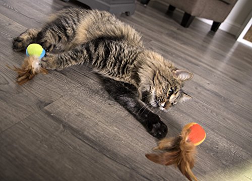 SmartyKat Flutter Ball Cat Toy Feather Ball 2 Pack