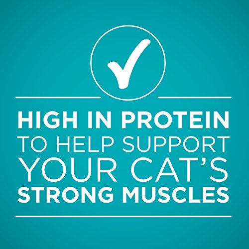 Purina ONE Natural, High Protein, Gravy Wet Cat Food, True Instinct Chicken Recipe - (24) 3 oz. Pull-Top Cans