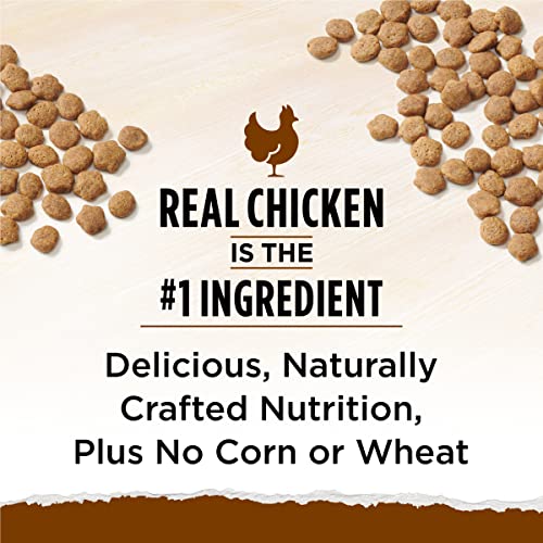 Purina Cat Chow Grain Free, Natural Dry Cat Food, Naturals With Real Chicken - 6.3 lb. Bag