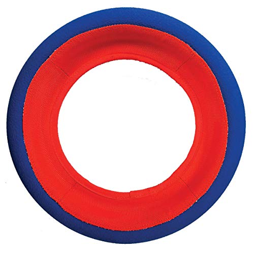 Chuckit! Fetch Wheel Toy for Dogs, Large