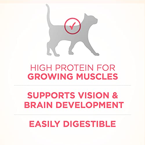 Purina ONE Natural Dry Kitten Food, Healthy Kitten - 16 lb. Bag