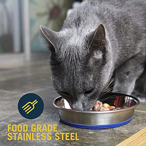 OurPets Durapet Stainless Steel Cat Dish, 1.75 cups