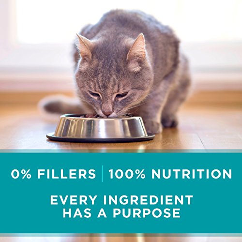 Purina ONE Natural, High Protein, Gravy Wet Cat Food, True Instinct Chicken Recipe - (24) 3 oz. Pull-Top Cans
