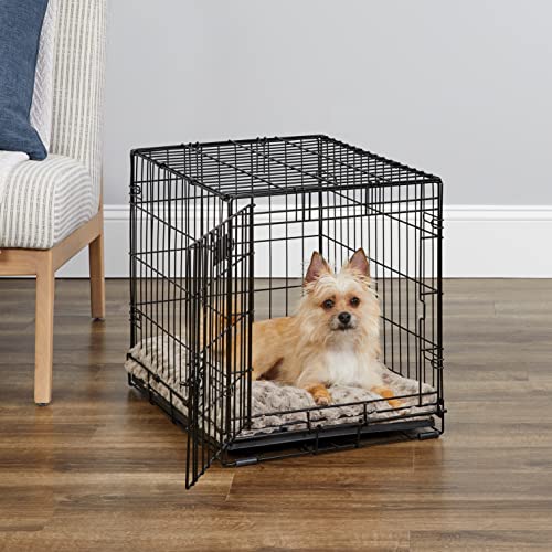 MidWest ICrate 1524 -24 Inch Folding Metal Dog Crate w/ Divider Panel ,Small Dog Breed, Black