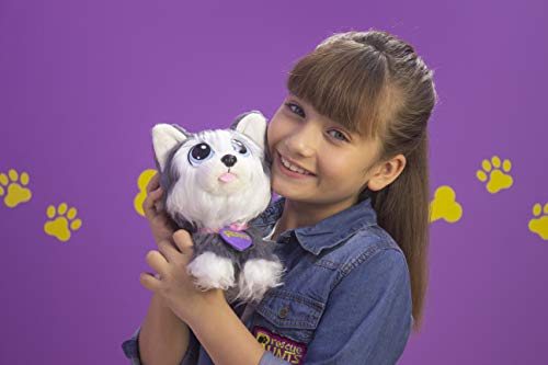 Rescue Runts II Plush Pet You Can Adopt & Rescue, Husky Dog