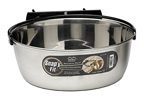 MidWest Homes for Pets Snap'y Fit Stainless Steel Food Bowl / Pet Bowl, 2 qt. for Dogs & Cats (42), Silver