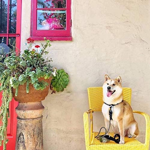 Pogis Poop Bags - 30 Rolls (450 Dog Poop Bags) - Scented, Leak-Proof, Earth-Friendly Poop Bags for Dogs