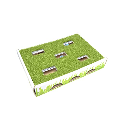 Grass Patch Hunting and Play Box Cat Ball Toy by Petstages