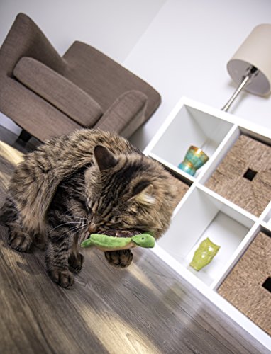 Petlinks Refillable Catnip Cat Toys