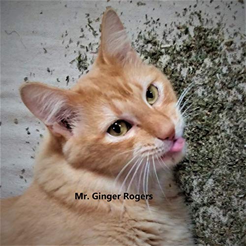 Krazy Kat Catnip 2 Oz net wt 100% Pure Unadulterated Catnip (Nepeta cataria) Cut Leaf, Buds, Stems and Seeds. Principal Constituent is Nepetalactone, which is What Makes Cats Respond to Catnip.