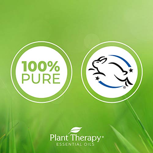 Plant Therapy Nature Shield Essential Oil Synergy | Natural Insect Repellent Blend | 100% Pure, Undiluted, Natural Aromatherapy, Therapeutic Grade | 30 milliliter (1 ounce)