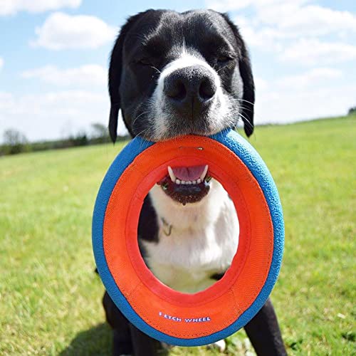 Chuckit! Fetch Wheel Toy for Dogs, Large