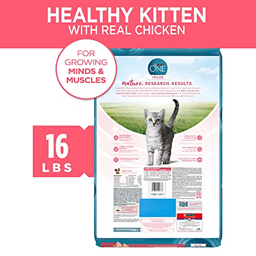 Purina ONE Natural Dry Kitten Food, Healthy Kitten - 16 lb. Bag