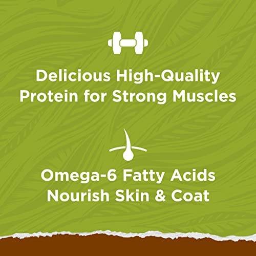 Purina Cat Chow Grain Free, Natural Dry Cat Food, Naturals With Real Chicken - 6.3 lb. Bag