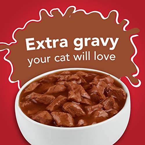 Purina Friskies Gravy Wet Cat Food, Extra Gravy Chunky With Beef in Savory Gravy - (24) 5.5 oz. Cans