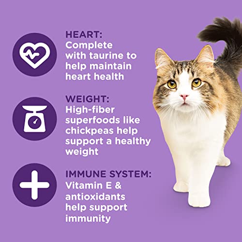 Rachael Ray Nutrish Longevity Premium Natural Dry Cat Food, Chicken with Chickpeas & Salmon Recipe, 3 Pounds