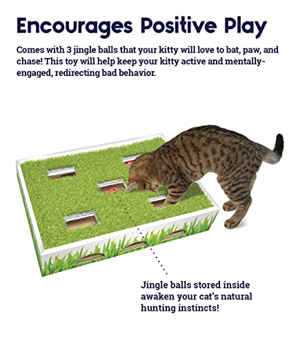 Grass Patch Hunting and Play Box Cat Ball Toy by Petstages
