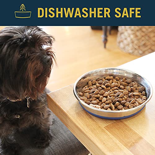 OurPets Durapet Stainless Steel Cat Dish, 1.75 cups