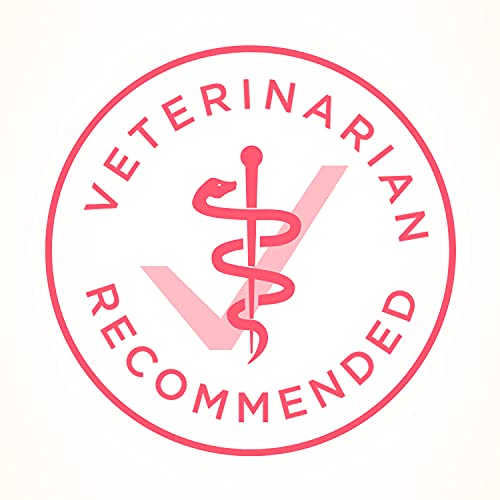 Purina ONE Natural Dry Kitten Food, Healthy Kitten - 16 lb. Bag