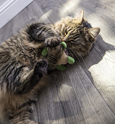 Petlinks Refillable Catnip Cat Toys