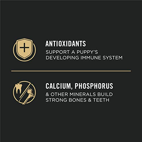 Purina Pro Plan Dry Puppy Food, Chicken and Rice Formula, 34-Pound Bag, (Model: 00038100132703)