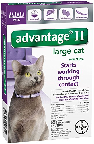 Advantage II Large Cat 6Pack