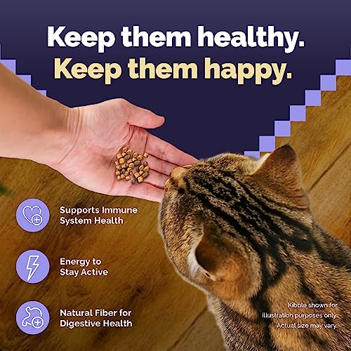 Blue Buffalo Wilderness High Protein Grain Free, Natural Mature Dry Cat Food, Chicken 5-lb