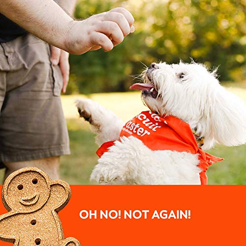 Buddy Biscuits Original Soft & Chewy w/Peanut Butter - 20oz. (17502)