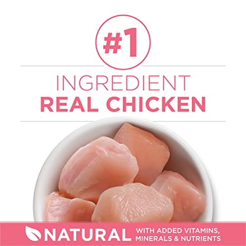 Purina ONE Natural Dry Kitten Food, Healthy Kitten - 3.5 lb. Bag