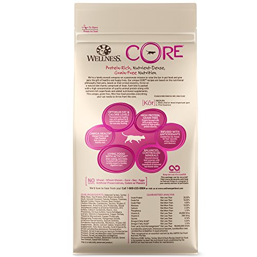 Wellness Core Natural Grain Free Dry Cat Food, Turkey, Turkey Meal & Duck Recipe, 11-Pound Bag
