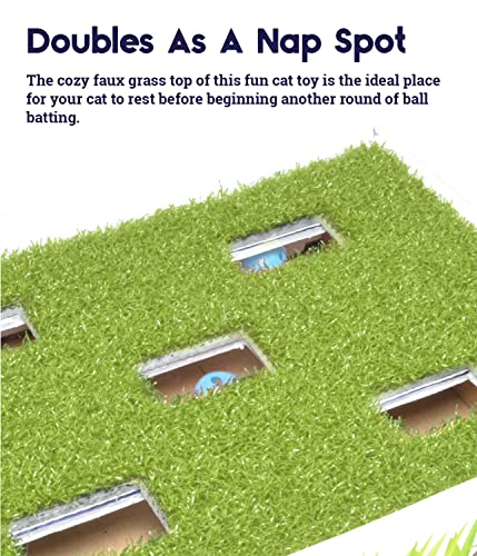 Grass Patch Hunting and Play Box Cat Ball Toy by Petstages