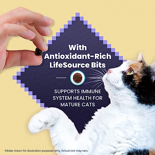 Blue Buffalo Wilderness High Protein Grain Free, Natural Mature Dry Cat Food, Chicken 5-lb