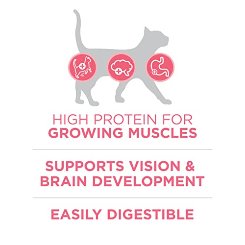 Purina ONE Natural Dry Kitten Food, Healthy Kitten - 3.5 lb. Bag